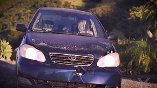 Nicole Nichols behind windshield hardcore porn